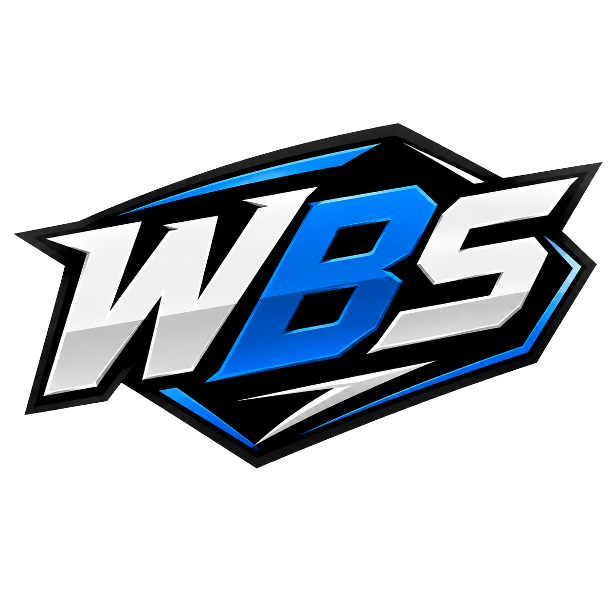 WBS